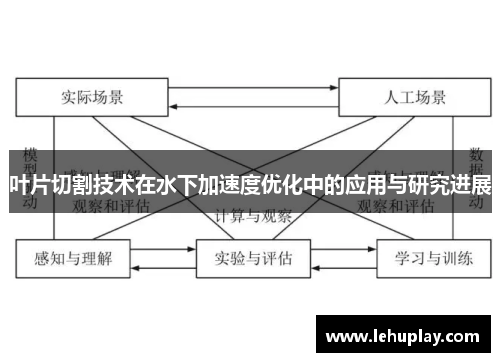 叶片切割技术在水下加速度优化中的应用与研究进展